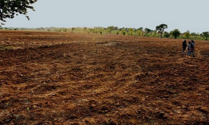 Cross River Secures 1,000 Hectares to Boost Refugee Livelihoods